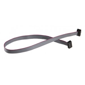 Câble ribbon 10-pin Mini